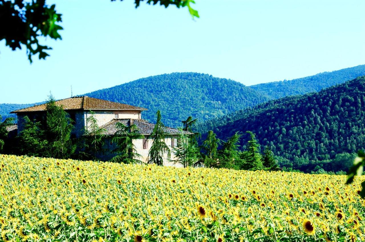 Agriturismo Montioni Совічілле Екстер'єр фото
